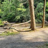 Review photo of Abrams Creek Campground — Great Smoky Mountains National Park by NOLAOnTheRoad .., July 15, 2021