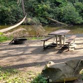 Review photo of Abrams Creek Campground — Great Smoky Mountains National Park by NOLAOnTheRoad .., July 15, 2021