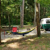 Review photo of Abrams Creek Campground — Great Smoky Mountains National Park by NOLAOnTheRoad .., July 15, 2021