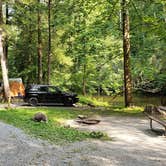 Review photo of Abrams Creek Campground — Great Smoky Mountains National Park by NOLAOnTheRoad .., July 15, 2021