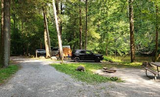 NOLAOnTheRoad ..'s photo at Abrams Creek Campground — Great Smoky Mountains National Park near Lenoir City, TN