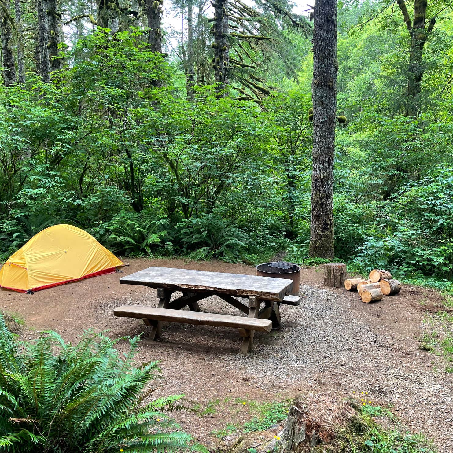 Hebo Lake Campground Camping The Dyrt