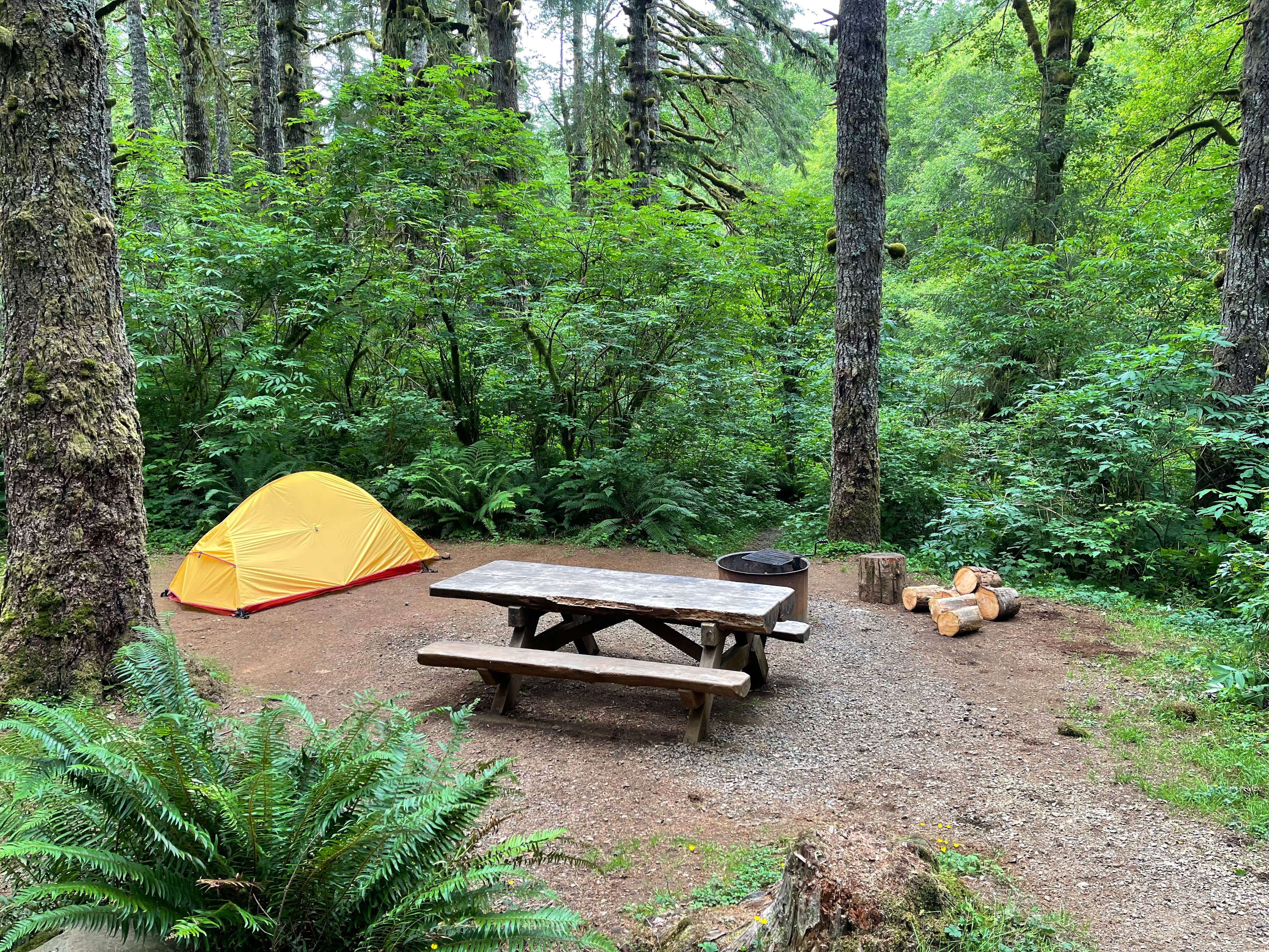 Camper submitted image from Hebo Lake Campground - 5