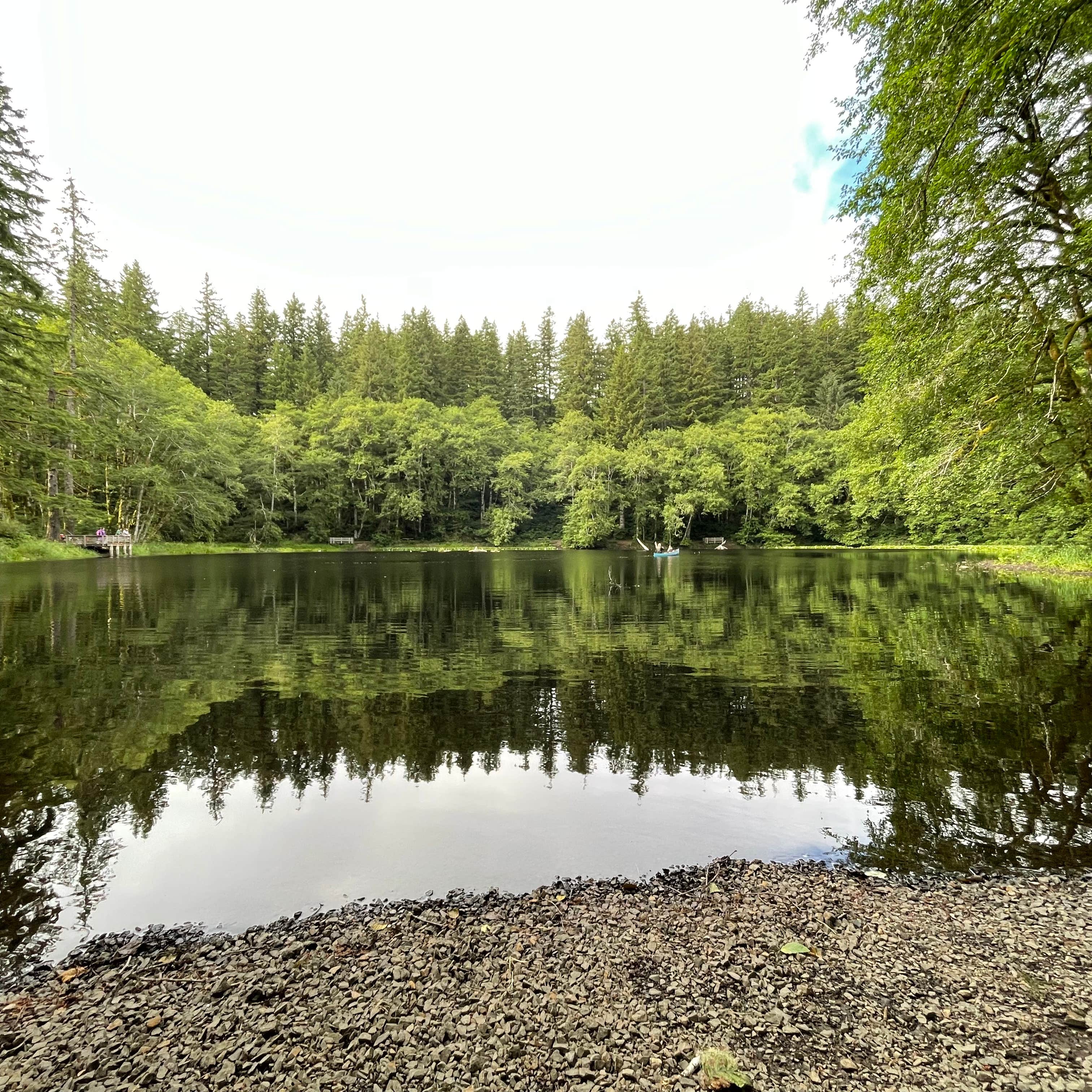 Hebo Lake: Oregon's Hidden Gem – A Campground Escape