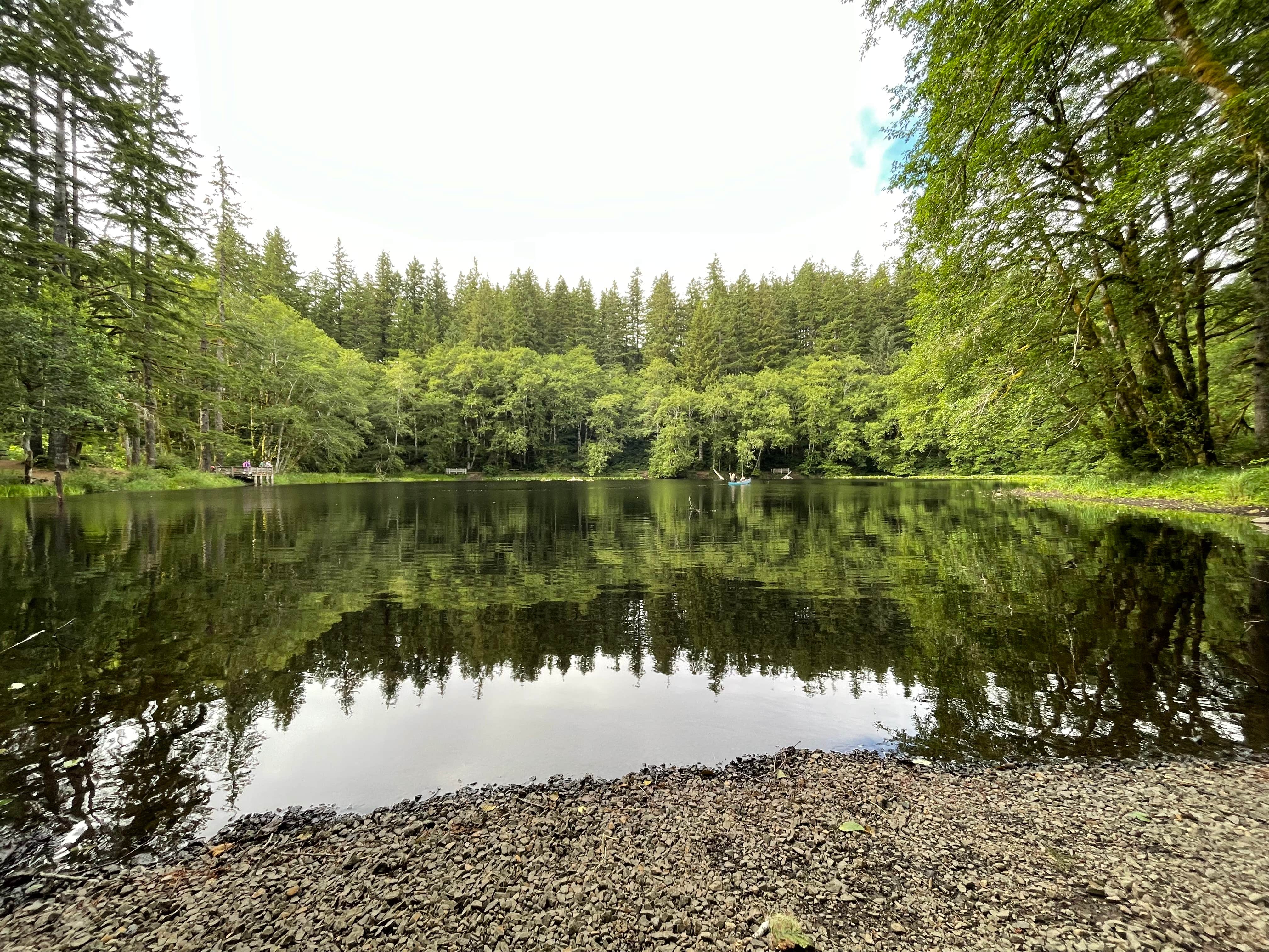 Camper submitted image from Hebo Lake Campground - 5