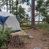 Review photo of South Toledo Bend State Park Campground by NOLAOnTheRoad .., July 15, 2021