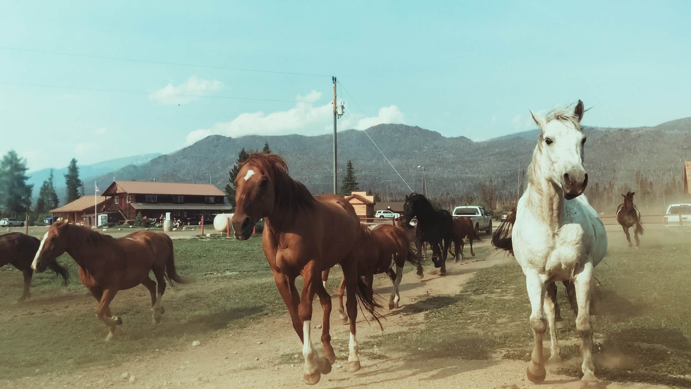 Jona R.'s photo of camping with a horse at Winding River Resort near Livermore, CO