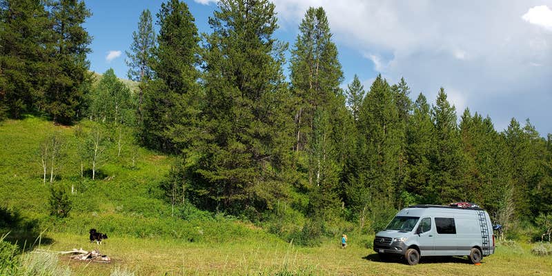 Camper submitted image from Fall Creek Road - Dispersed