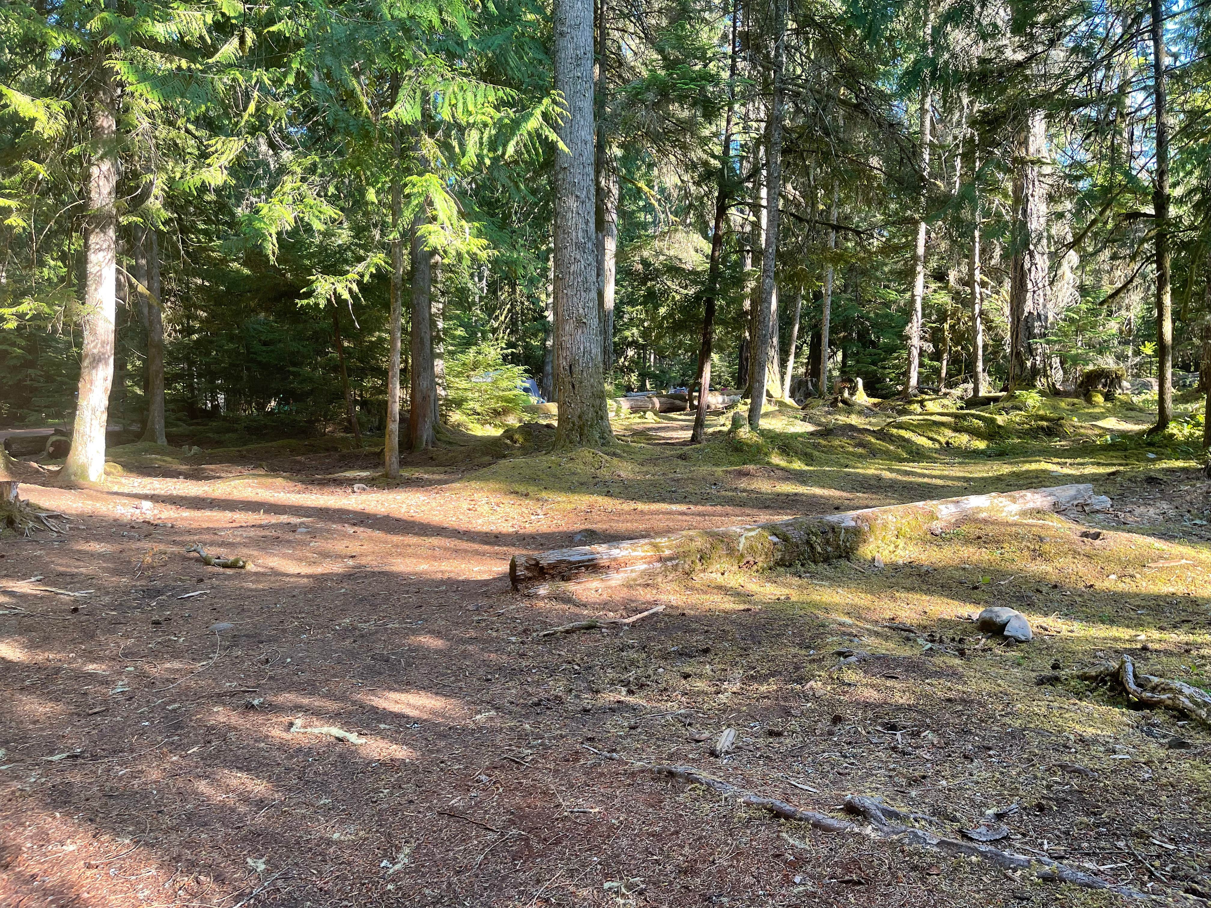 Camper submitted image from The Dalles Campground - 3