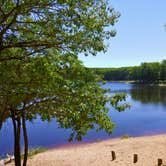 Review photo of Nordhouse Dunes Wilderness by Emily M., July 15, 2021