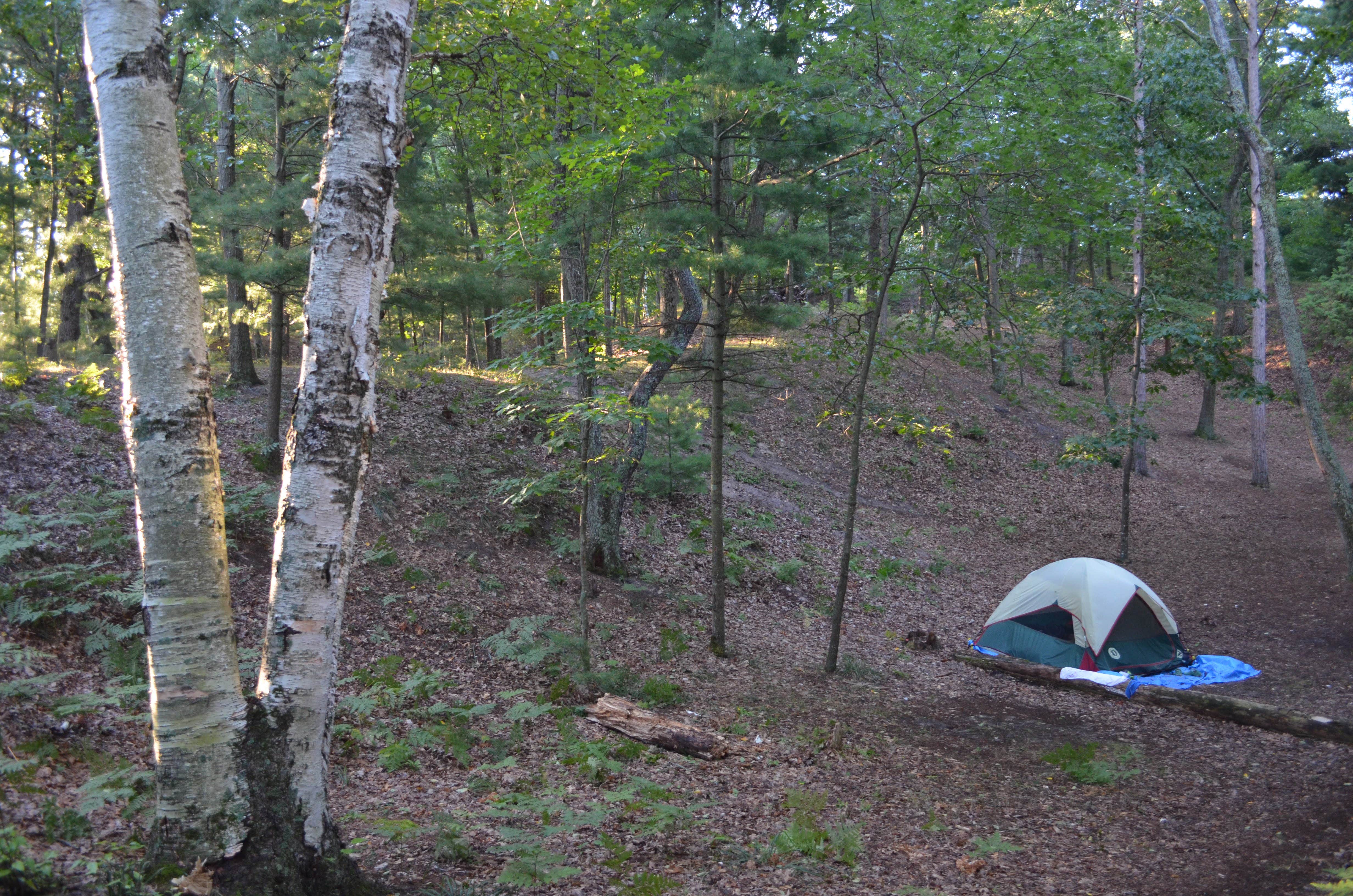 Emily M.'s photo at Nordhouse Dunes Wilderness near Free Soil, MI