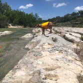 Review photo of Rio Frio — Garner State Park by Alexandra , July 15, 2021