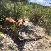 Review photo of Rio Frio — Garner State Park by Alexandra , July 15, 2021