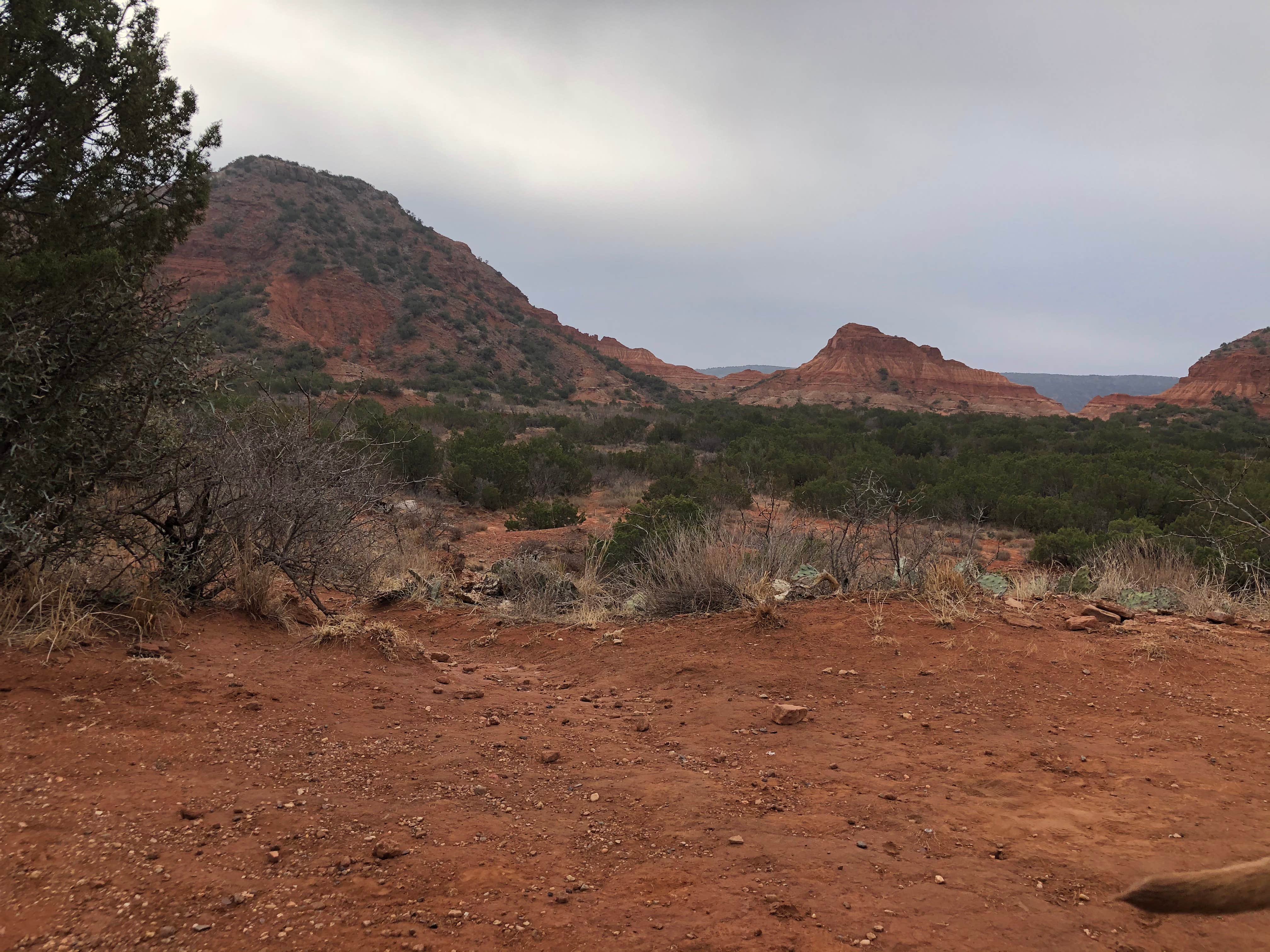 Camper submitted image from North Prong Primitive Campsite Camping Area — Caprock Canyons State Park - 4
