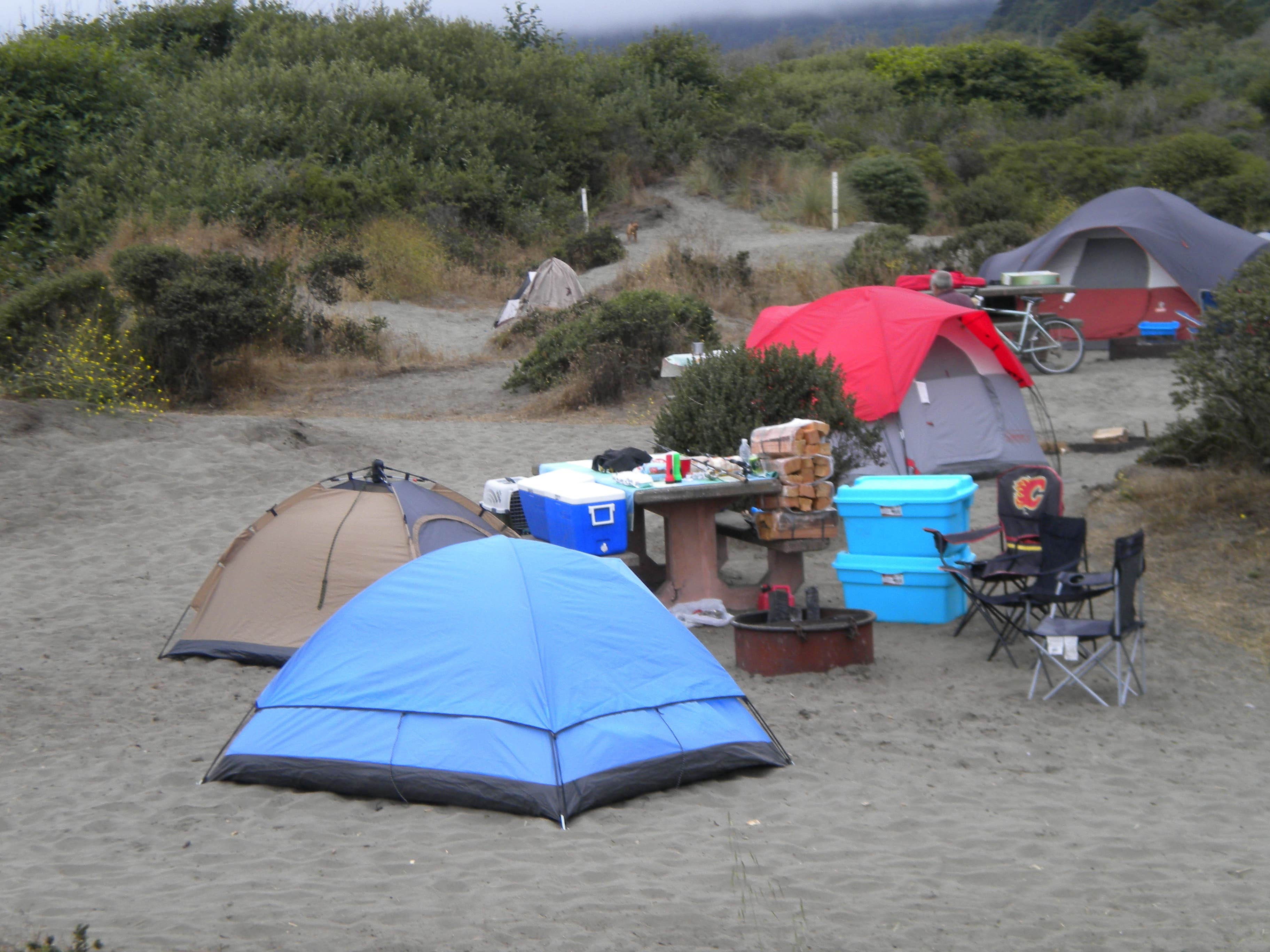 Camper submitted image from Clam Beach County Park - 4