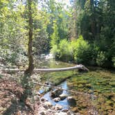 Review photo of Kachess Campground by Daniel , July 15, 2021