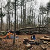 Review photo of Savage Falls Campground — Savage Gulf State Park by Jason J., July 15, 2021