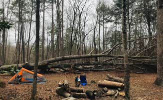 Jason J.'s photo at Savage Falls Campground — Savage Gulf State Park near Gruetli-Laager, TN