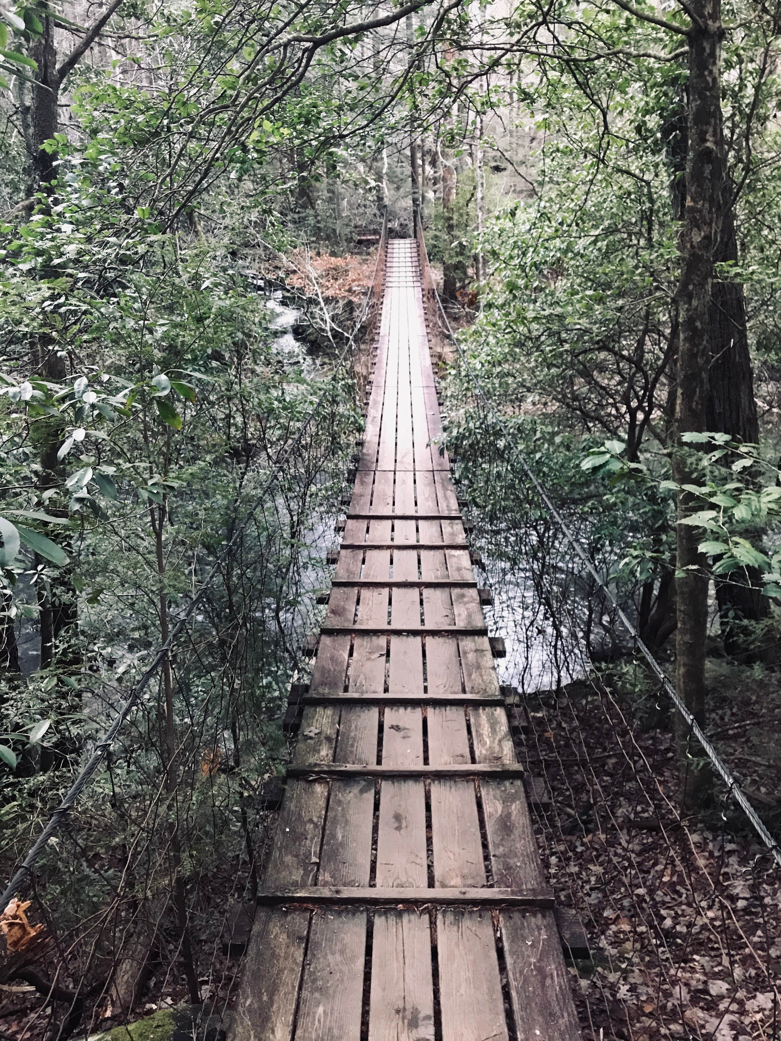 Savage hotsell falls campground