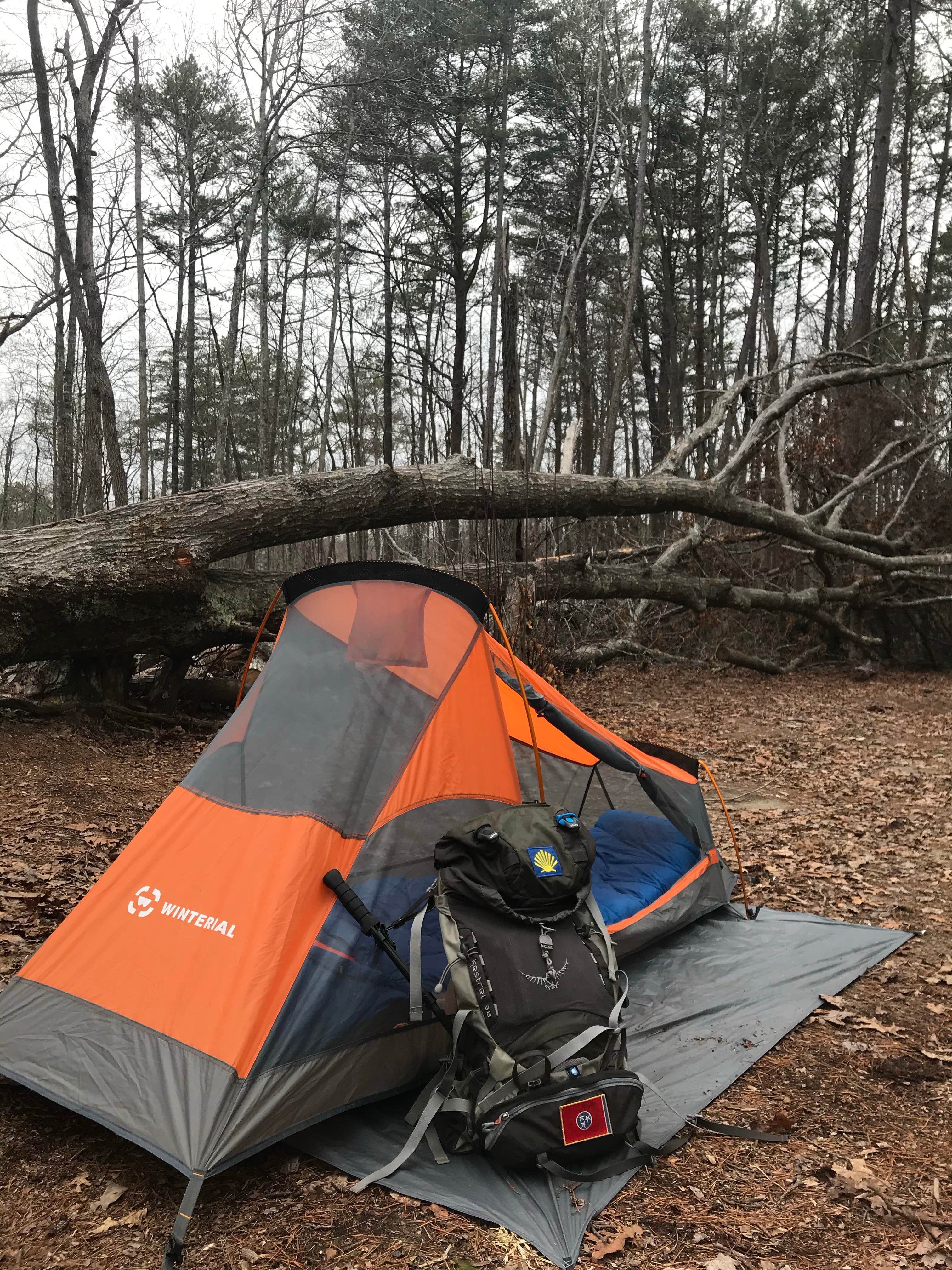 Jason J.'s photo at Savage Falls Campground — Savage Gulf State Park near Altamont, TN