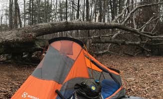 Jason J.'s photo at Savage Falls Campground — Savage Gulf State Park near Altamont, TN