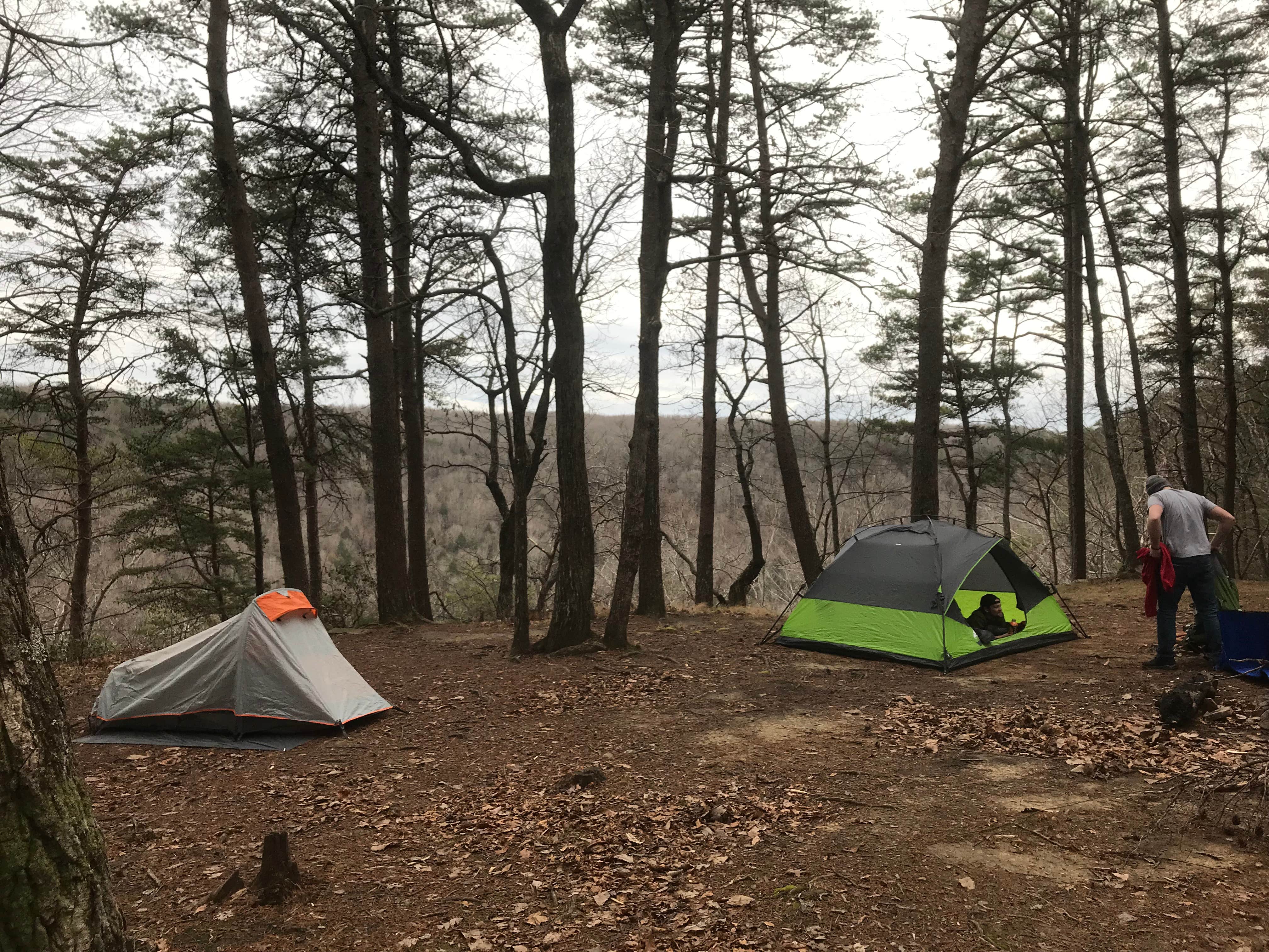 Jason J.'s photo of tent camping at Alum Gap Campground — Savage Gulf State Park near Signal Mountain, TN