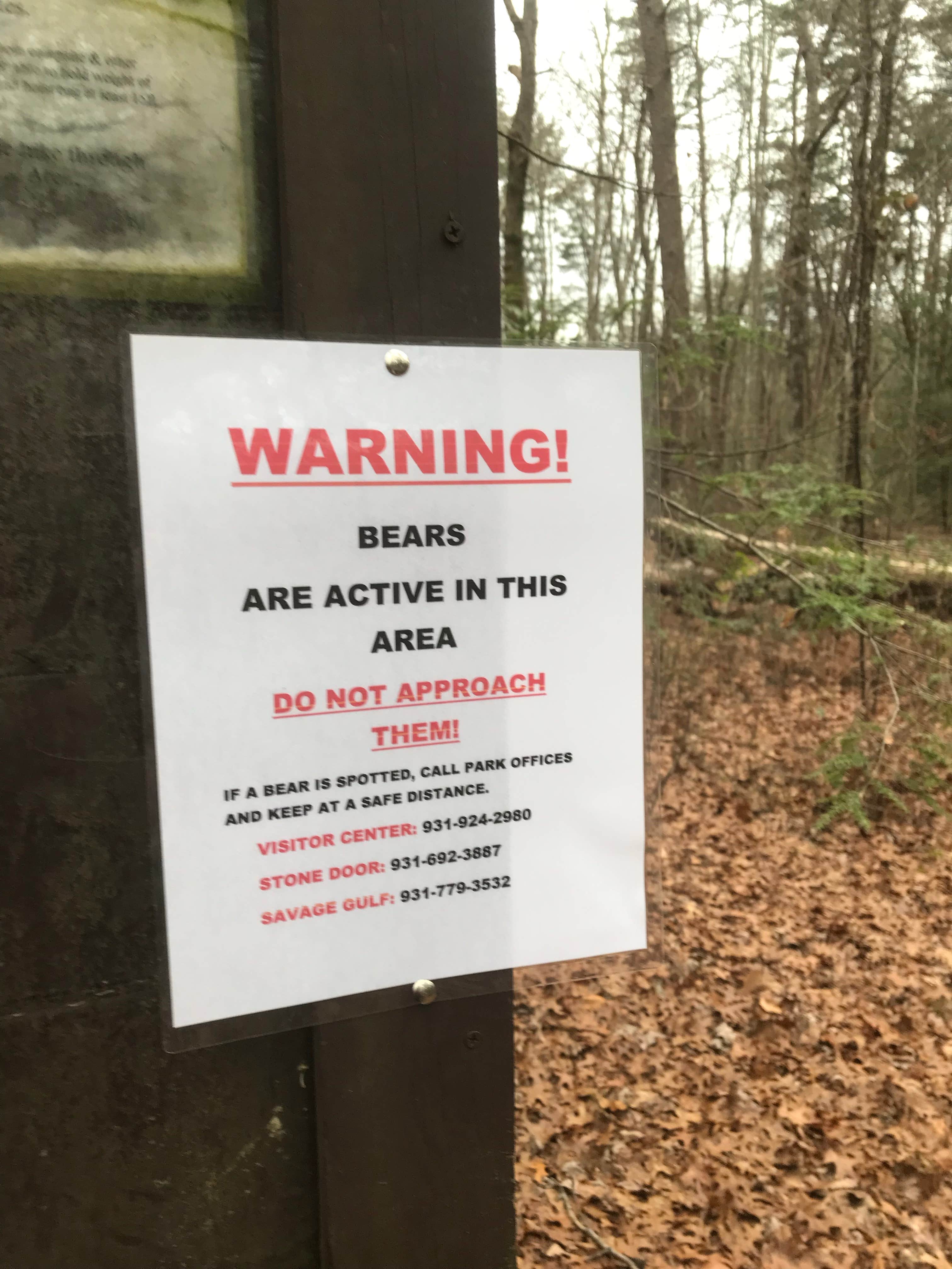 Camper submitted image from Alum Gap Campground — Savage Gulf State Park - 3
