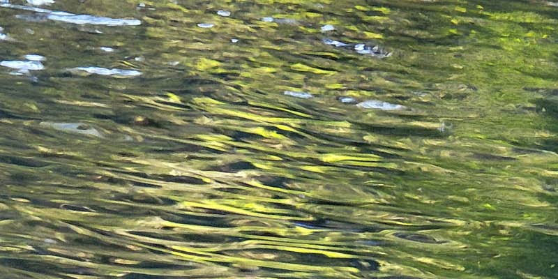 Camper submitted image from Lake Valhalla Backcountry Camping