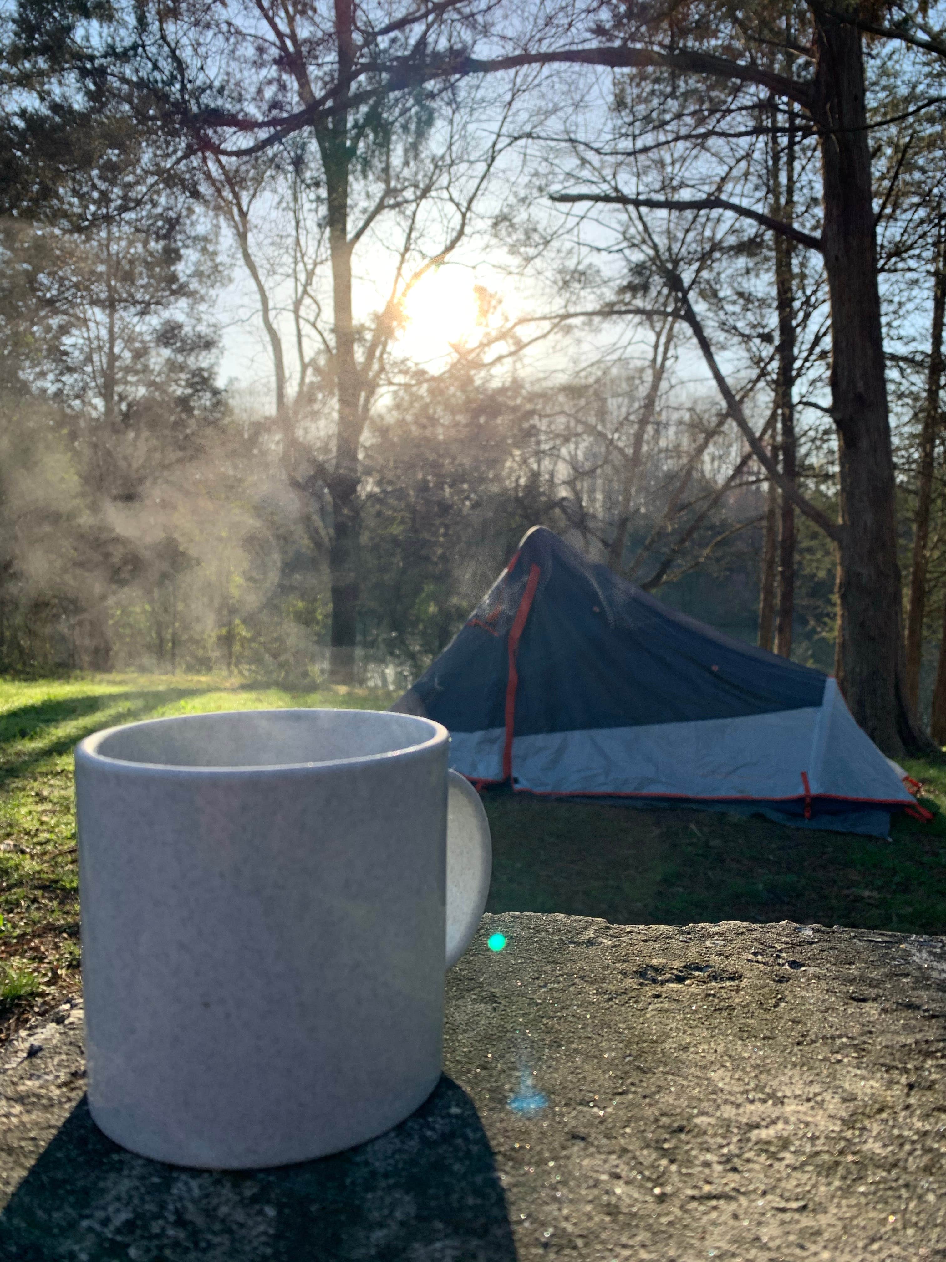 Jason J.'s photo at Cove Lake State Park Campground near Clinton, TN