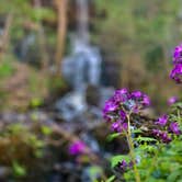 Review photo of Rock Island State Park Campground by Jason J., July 15, 2021