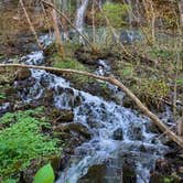 Review photo of Rock Island State Park Campground by Jason J., July 15, 2021