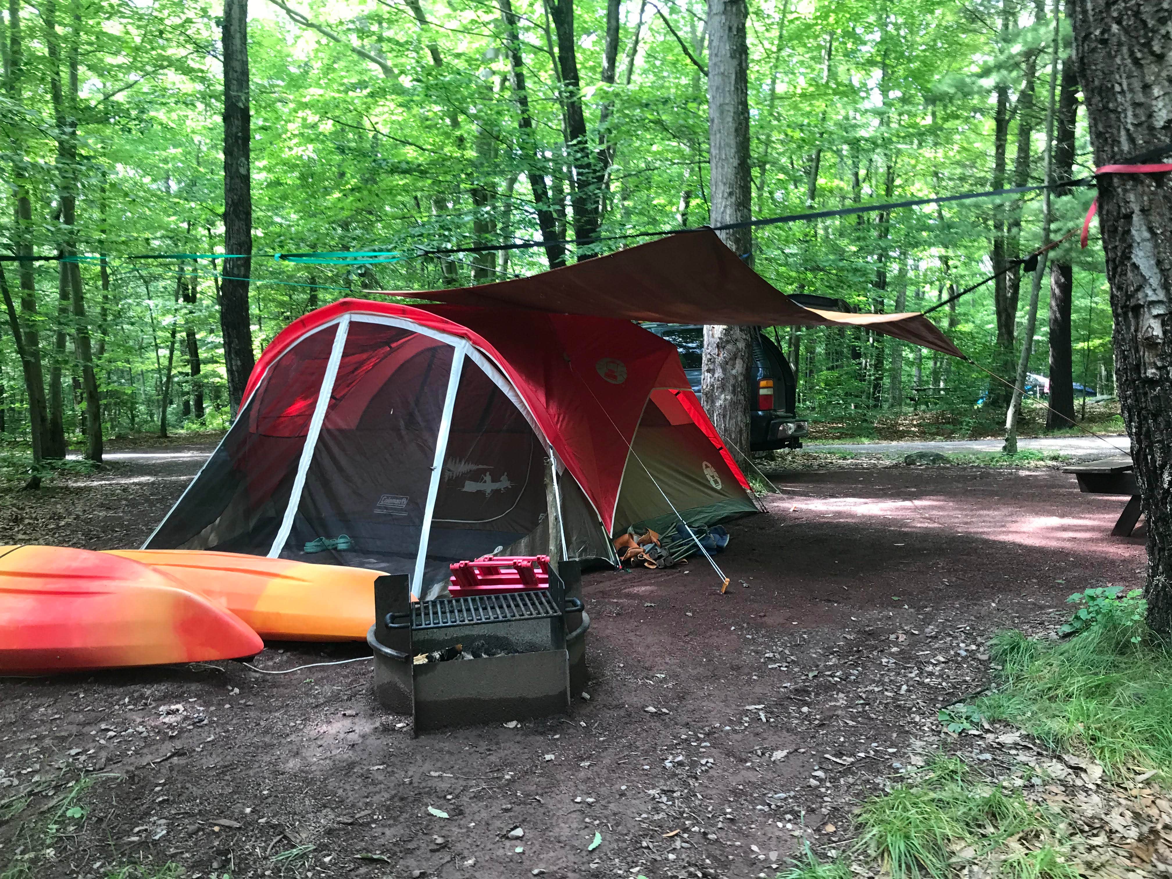 Shanon B.'s photo at Hickory Run State Park Campground near Shavertown, PA