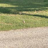 Review photo of The Longhorn Ranch Lodge & RV Resort by Brandon G., July 15, 2021
