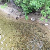 Review photo of Group Camp — McCarthy Beach State Park by Janet R., July 16, 2021