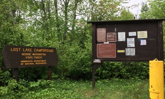 Camping near M44 Big Dick Lake: George Washington State Forest Lost Lake campground, Bigfork, Minnesota