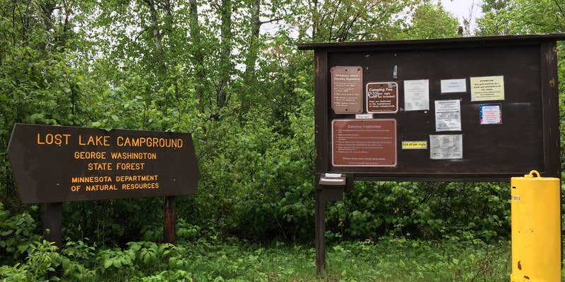 Camper submitted image from George Washington State Forest Lost Lake campground