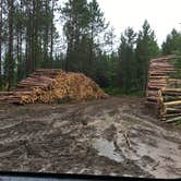 Review photo of George Washington State Forest Lost Lake campground by Janet R., July 16, 2021