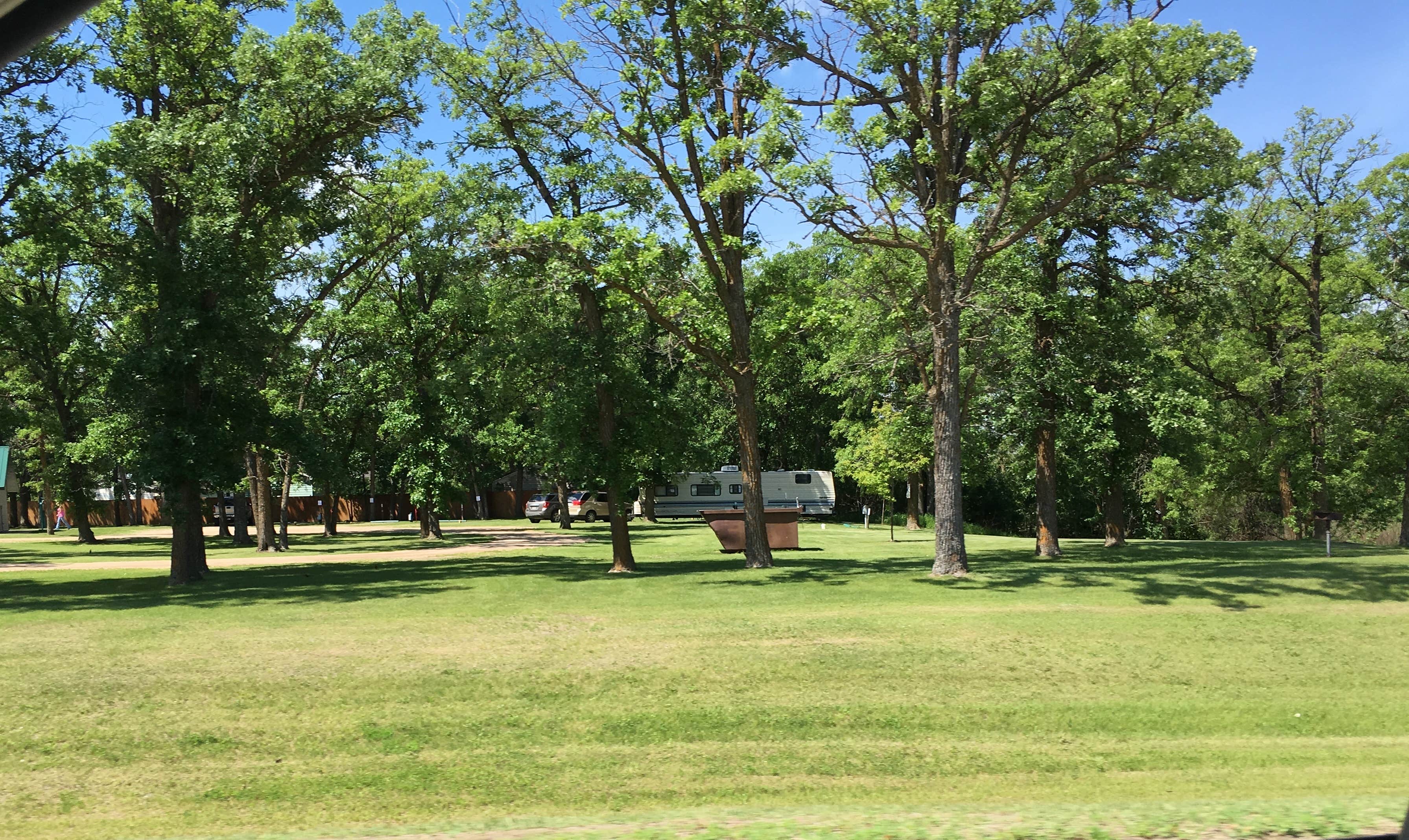 Camper submitted image from Newfolden City Park Camping - 1