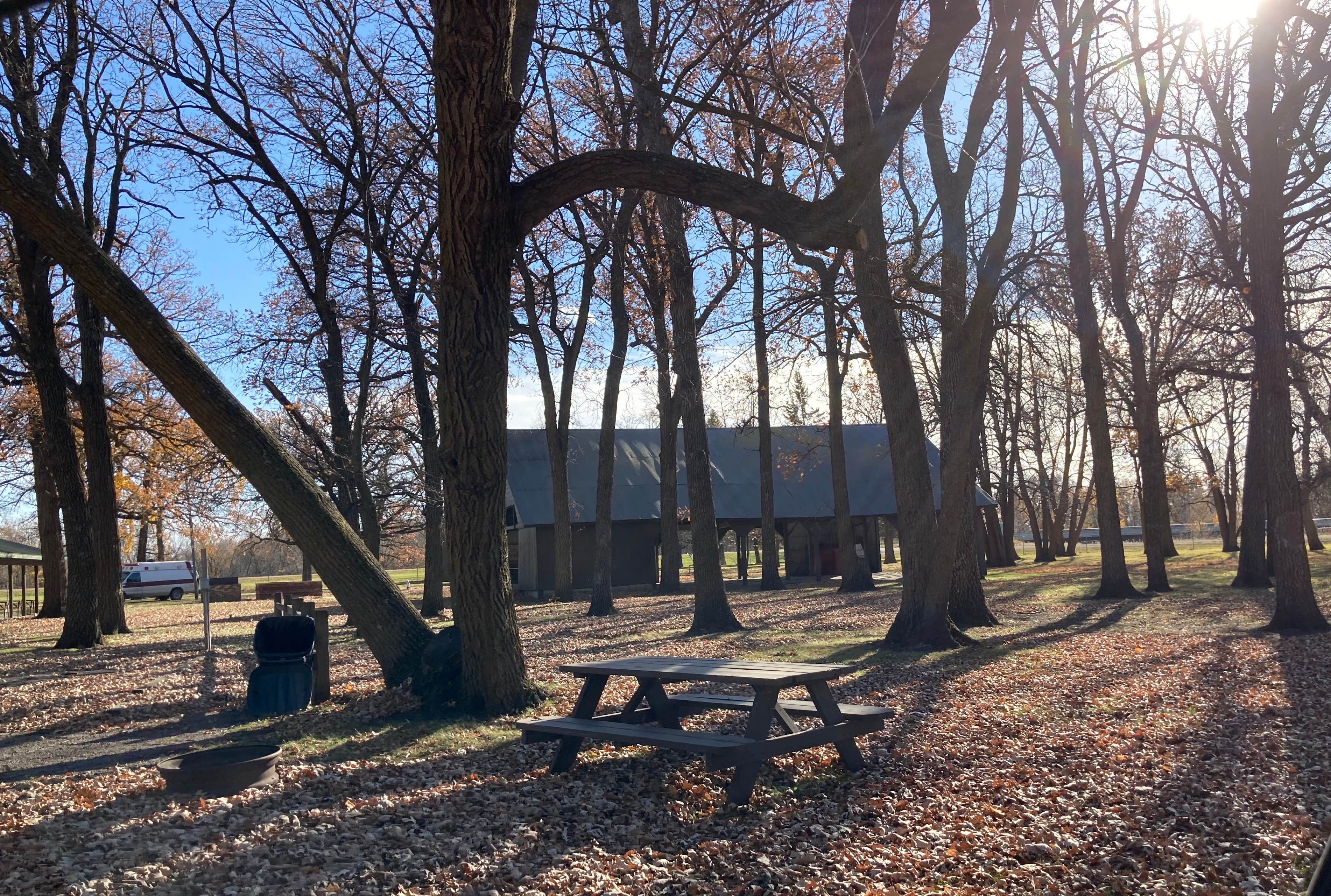 Hendrum Community Park photo 5