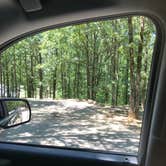 Review photo of Craighead Forest Park by Kathy E., June 14, 2018