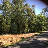 Review photo of Craighead Forest Park by Kathy E., June 14, 2018