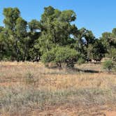 Review photo of Dead Horse Ranch State Park Campground by Lou A., July 16, 2021