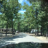 Review photo of Craighead Forest Park by Kathy E., June 14, 2018