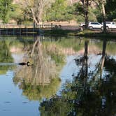 Review photo of Dead Horse Ranch State Park Campground by Lou A., July 16, 2021