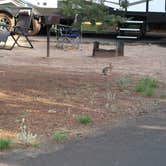 Review photo of Dead Horse Ranch State Park Campground by Lou A., July 16, 2021