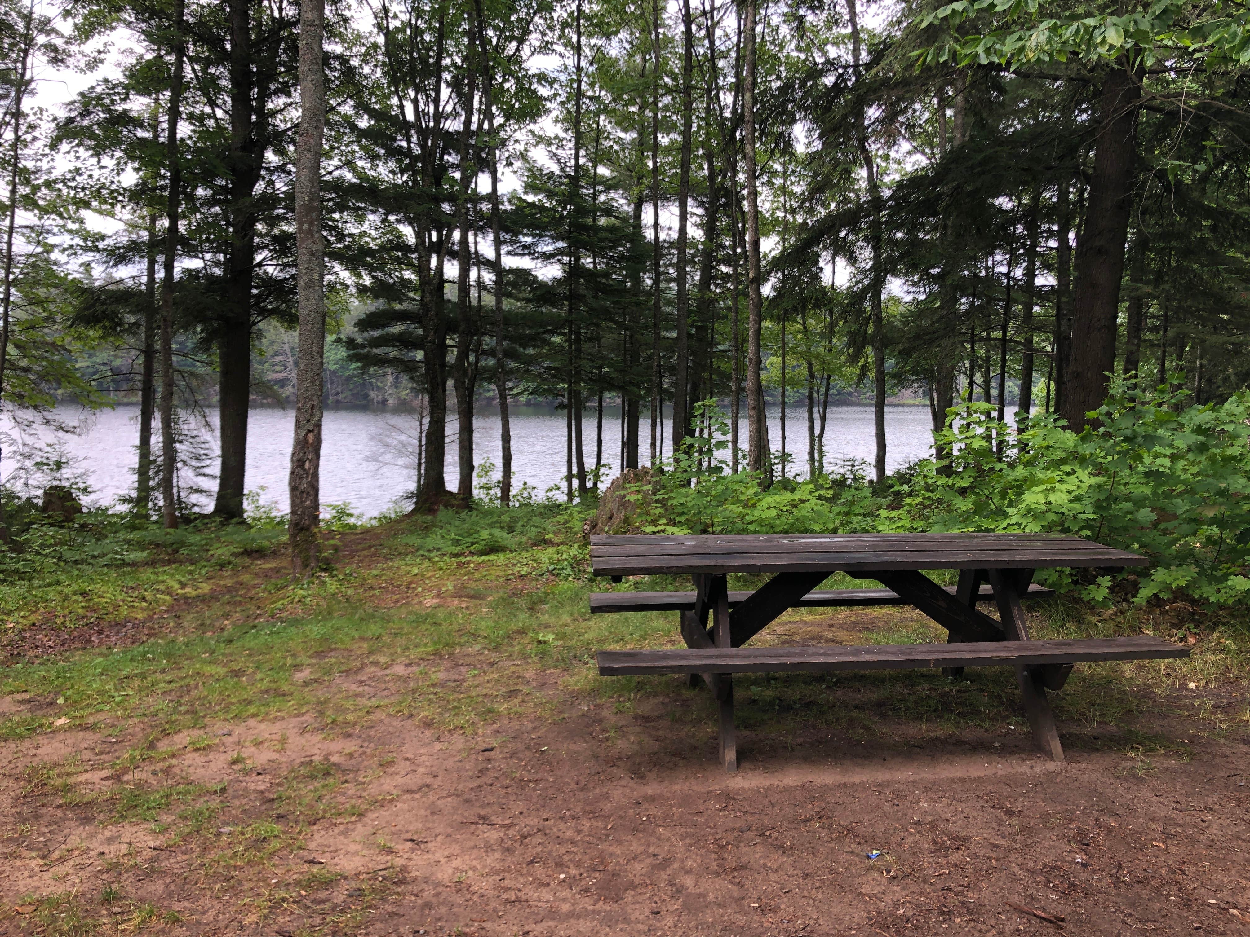 Camper submitted image from North Gemini Lake State Forest Campground - 1