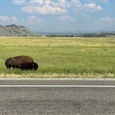 Review photo of Fireside Buffalo Valley by David S., July 16, 2021