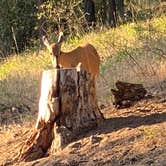 Review photo of Liberty Lake Regional Park by Michael C., July 16, 2021