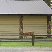 Review photo of Liberty Lake Regional Park by Michael C., July 16, 2021