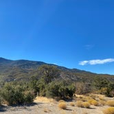 Review photo of Pinyon Flat Campground by Andrew M., April 4, 2021